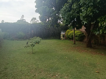 3 Bedroom Garden Flat