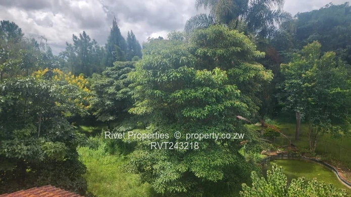 Glen Lorne Property For Sale 