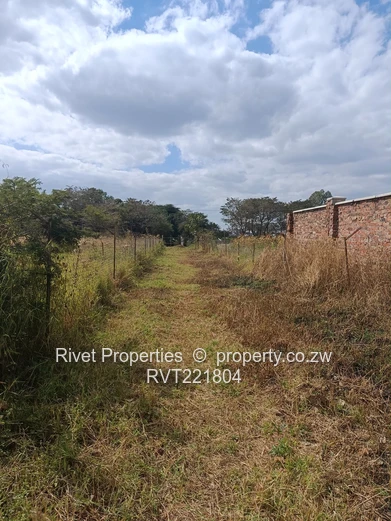 Shawasha Road Reasy To Build Stand