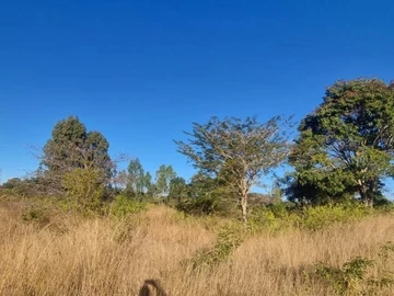 Farm & Agricultural Land